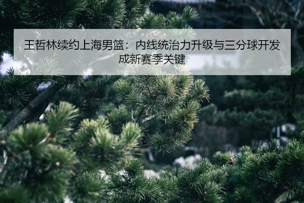 wang-zhe-lin-xu-yue-shang-hai-nan-lan-nei-xian-tong-zhi-li-sheng-ji-yu-san-fen-qiu-kai-fa-cheng-xin-sai-ji-guan-jian-2-904.jpg
