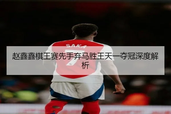 zhao-xin-xin-qi-wang-sai-xian-shou-qi-ma-sheng-wang-tian-yi-duo-guan-shen-du-jie-xi-2-129.jpg