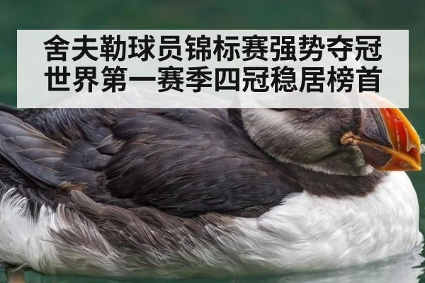 舍夫勒球员锦标赛强势夺冠世界第一赛季四冠稳居榜首